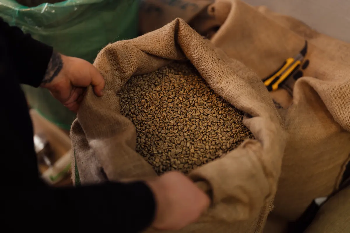 foto untuk arabica dan robusta ( product )