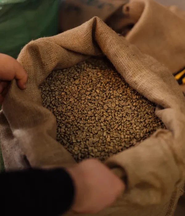 foto untuk arabica dan robusta ( product )